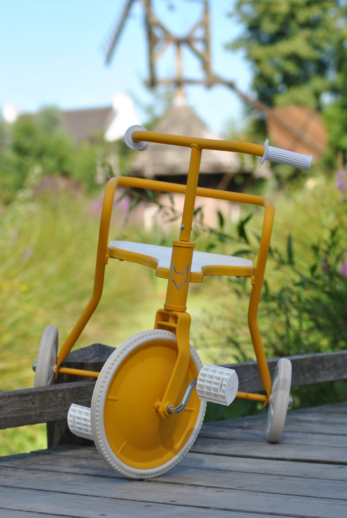 Tricycle foxrider shop